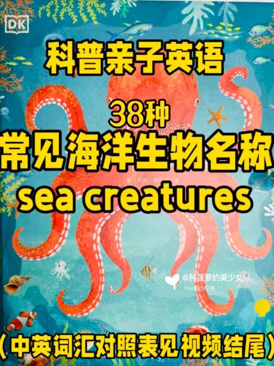 码住你知道这些海洋生物的英文表达么?