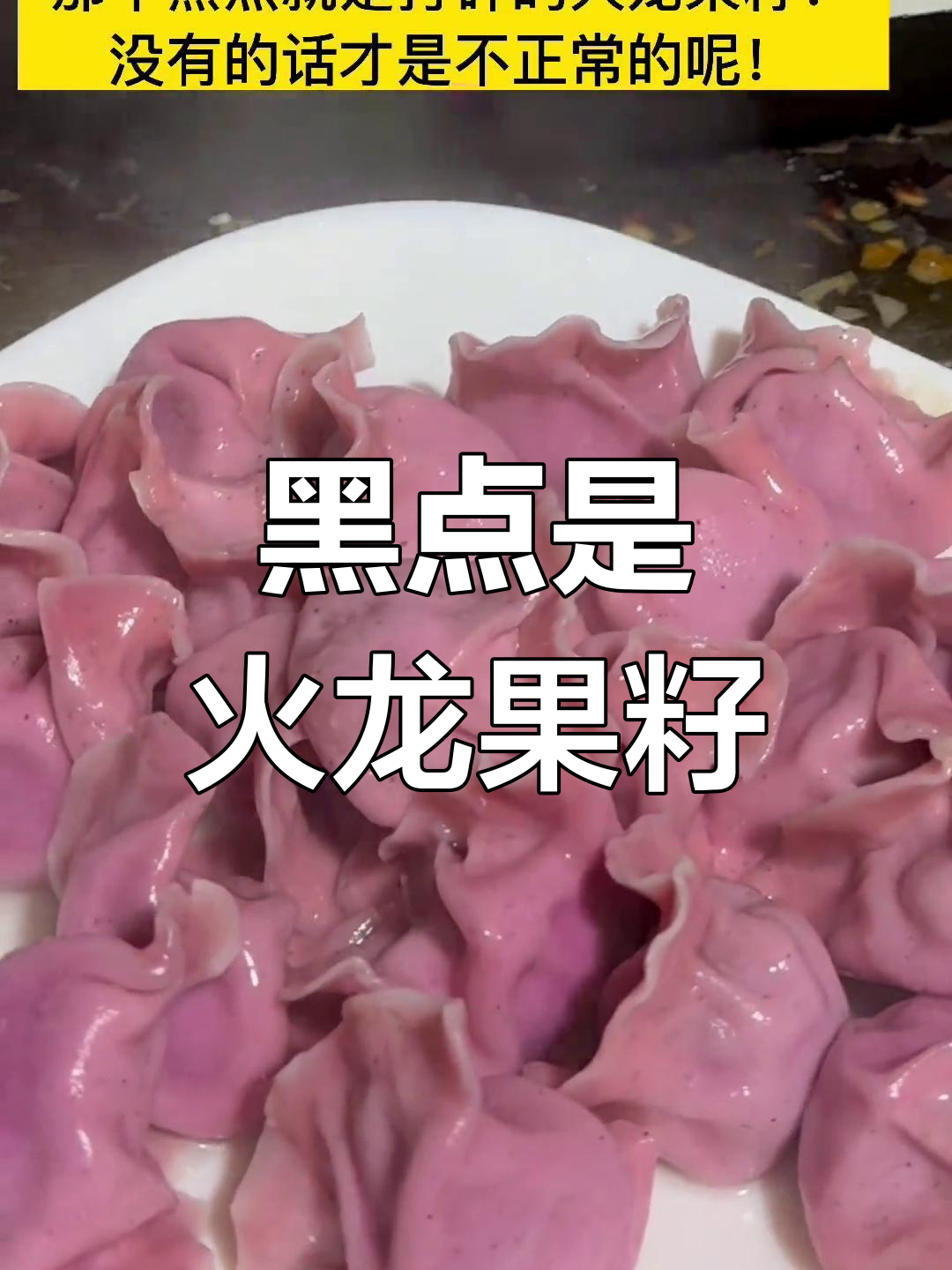 饺子皮上的黑点其实是火龙果籽,不是灰尘哦!