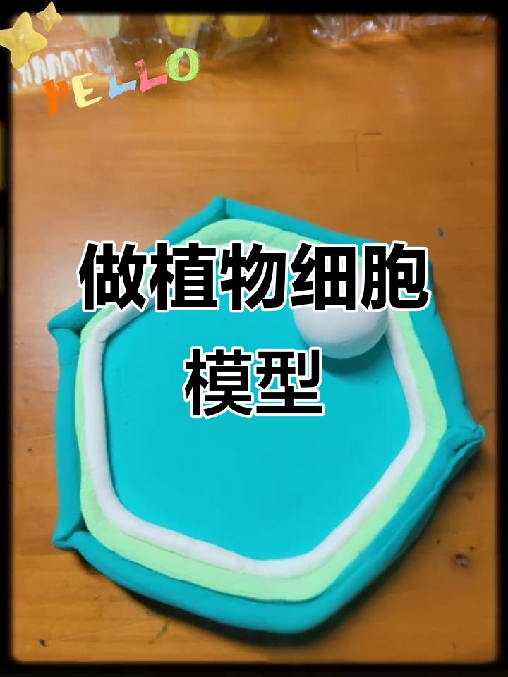 初一生物实验:制作植物细胞模型,超有趣!