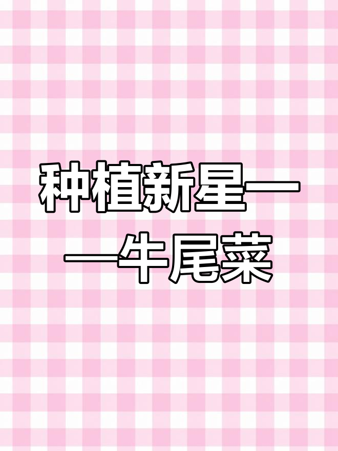 牛尾菜:特色蔬菜新宠,农业新秀