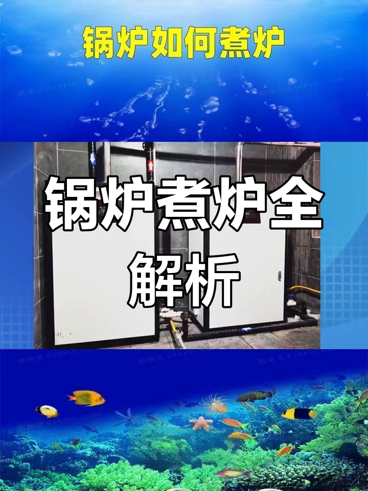 锅炉煮炉流程:燃料燃烧、蒸汽产生与输送