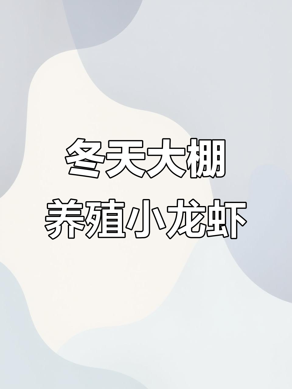 冬季北方冷棚养虾,轻松反季节收获小龙虾