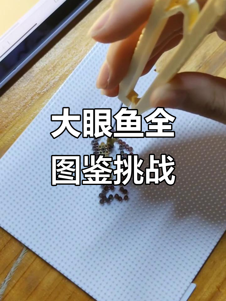 星露谷大眼鱼全图鉴挑战，沉浸式打卡体验