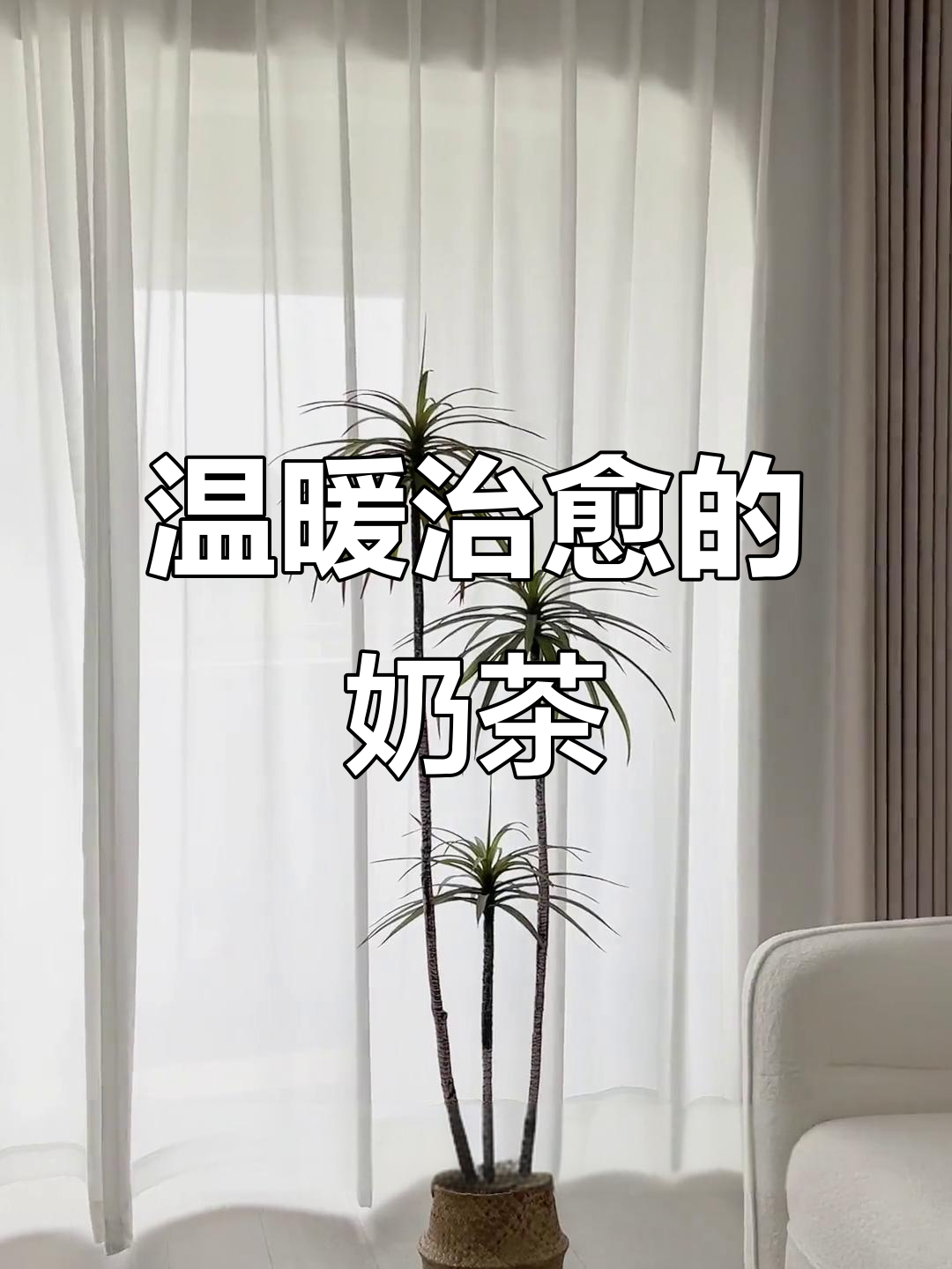 67元燕麦奶茶,治愈系温柔,瞬间让人心动!