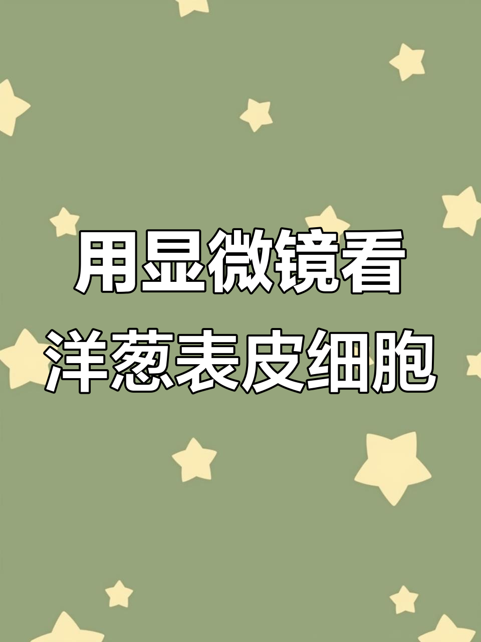 洋葱鳞片叶表皮细胞显微镜观察技巧与步骤解析