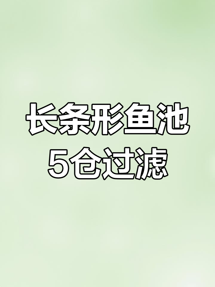 鱼池改造全攻略:5仓过滤系统设计与安装技巧