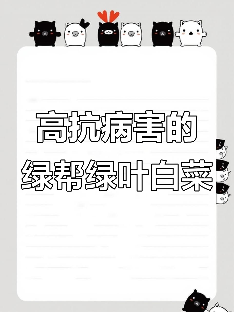 绿宝石大白菜,耐储存又美味,今年种点试试吧!