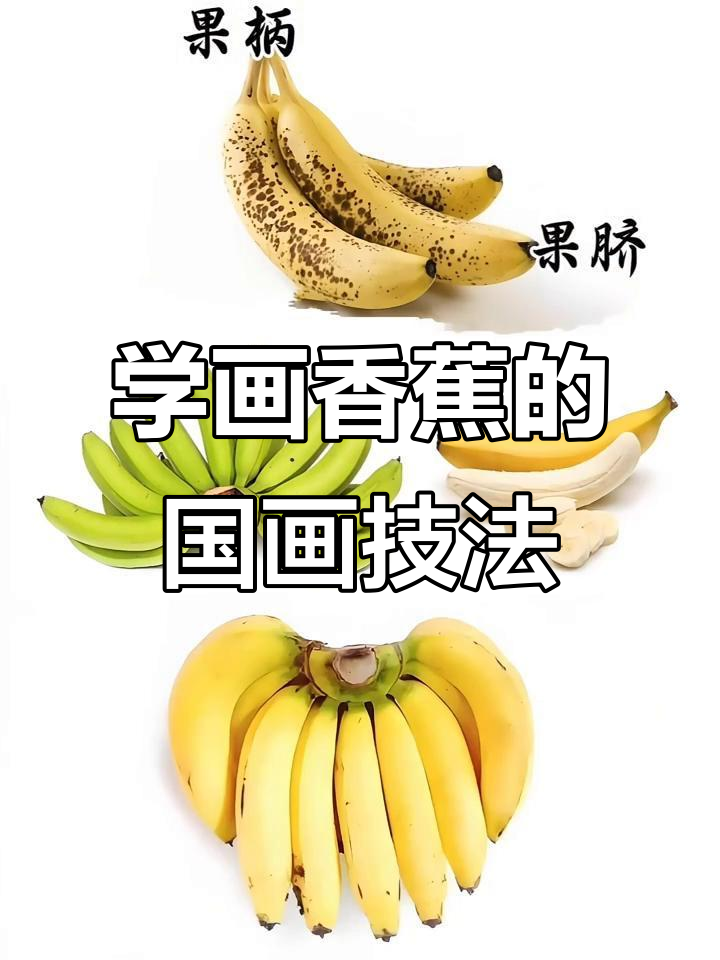 跟朱朱老师学国画香蕉,掌握不同形态与色彩技巧
