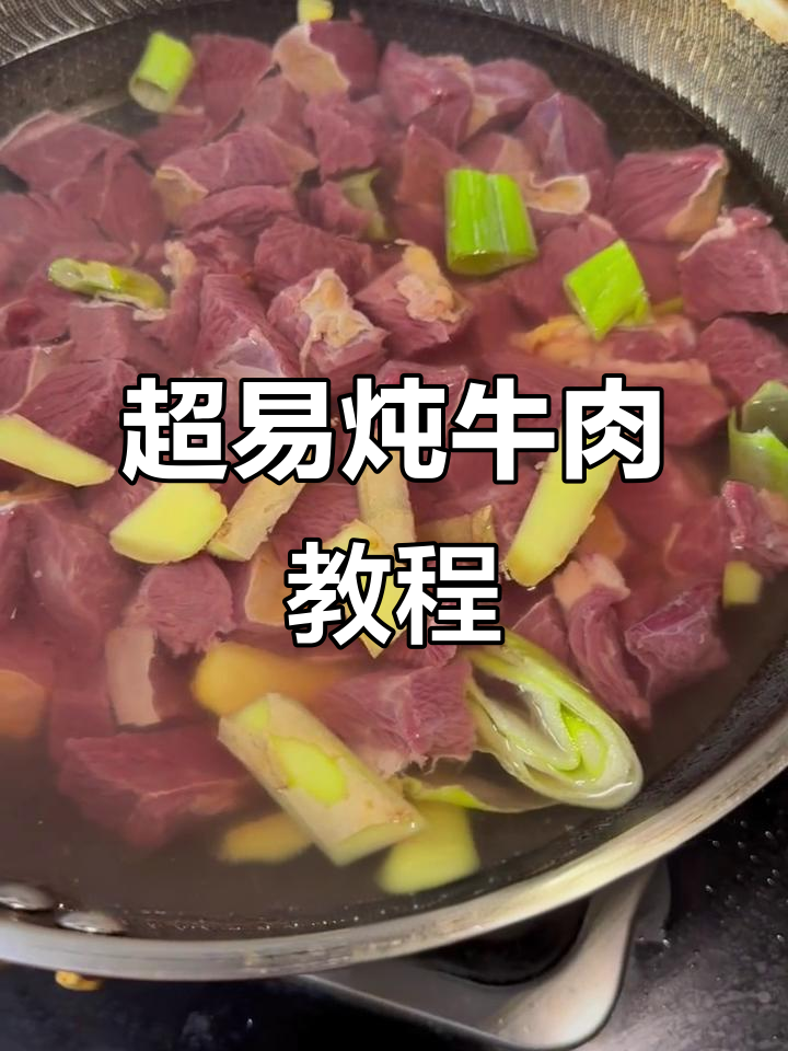 简单炖牛肉,胡萝卜土豆西红柿一锅搞定