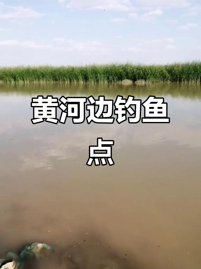 钓鱼位置大揭秘,轻松找到黄河边的钓位
