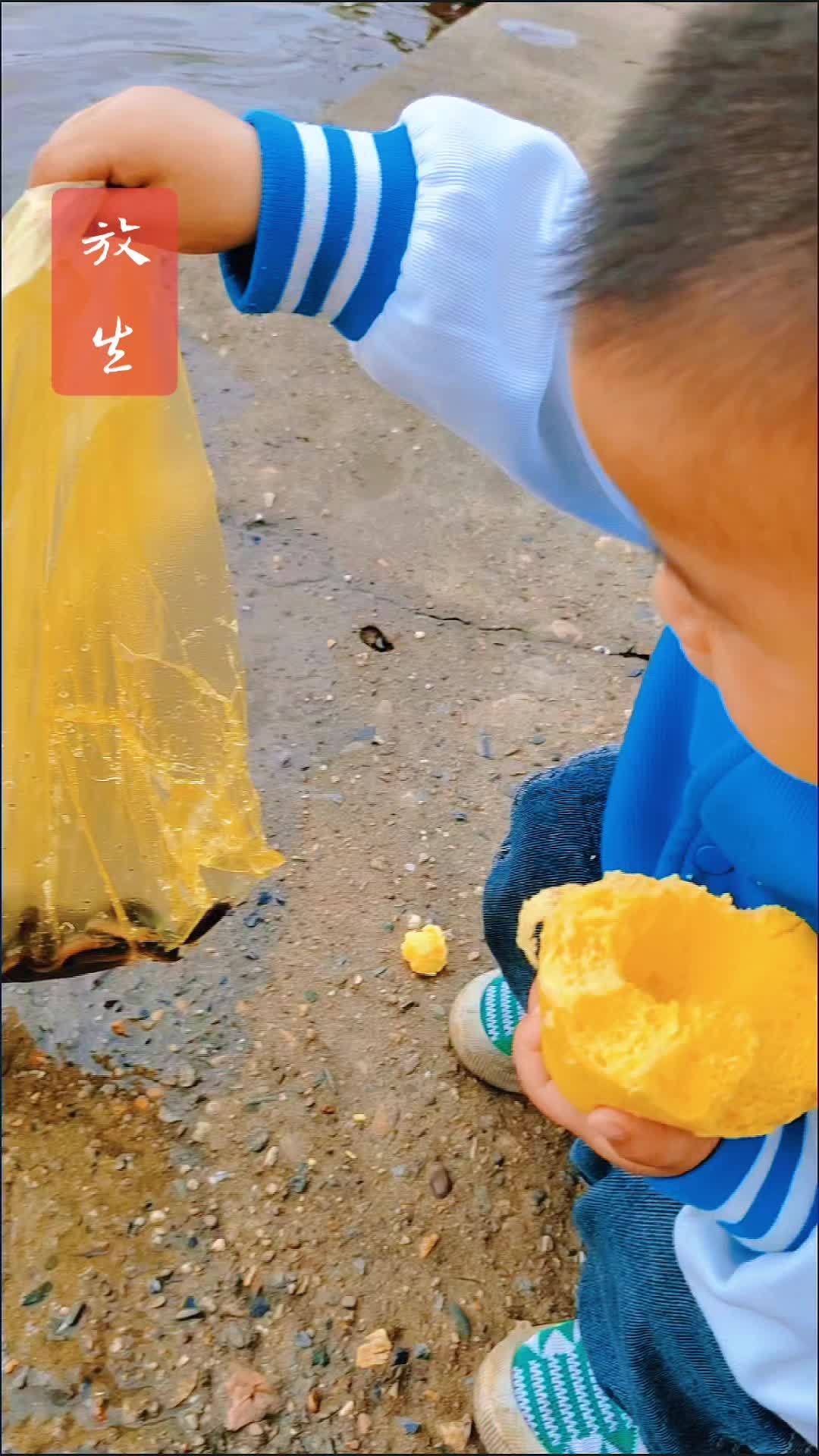 信仰不可缺,放生鱼,放它们自由。带孩子体会怜惜生命。定格美好瞬间 创作者中心 创作灵感 放
