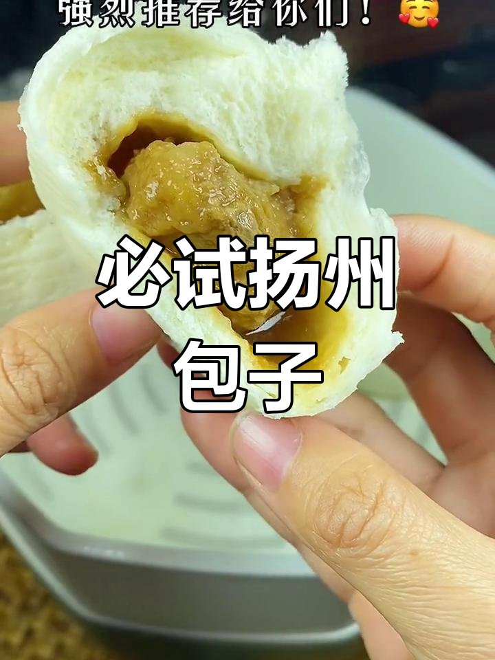 扬州东园包子,肉菜都好吃