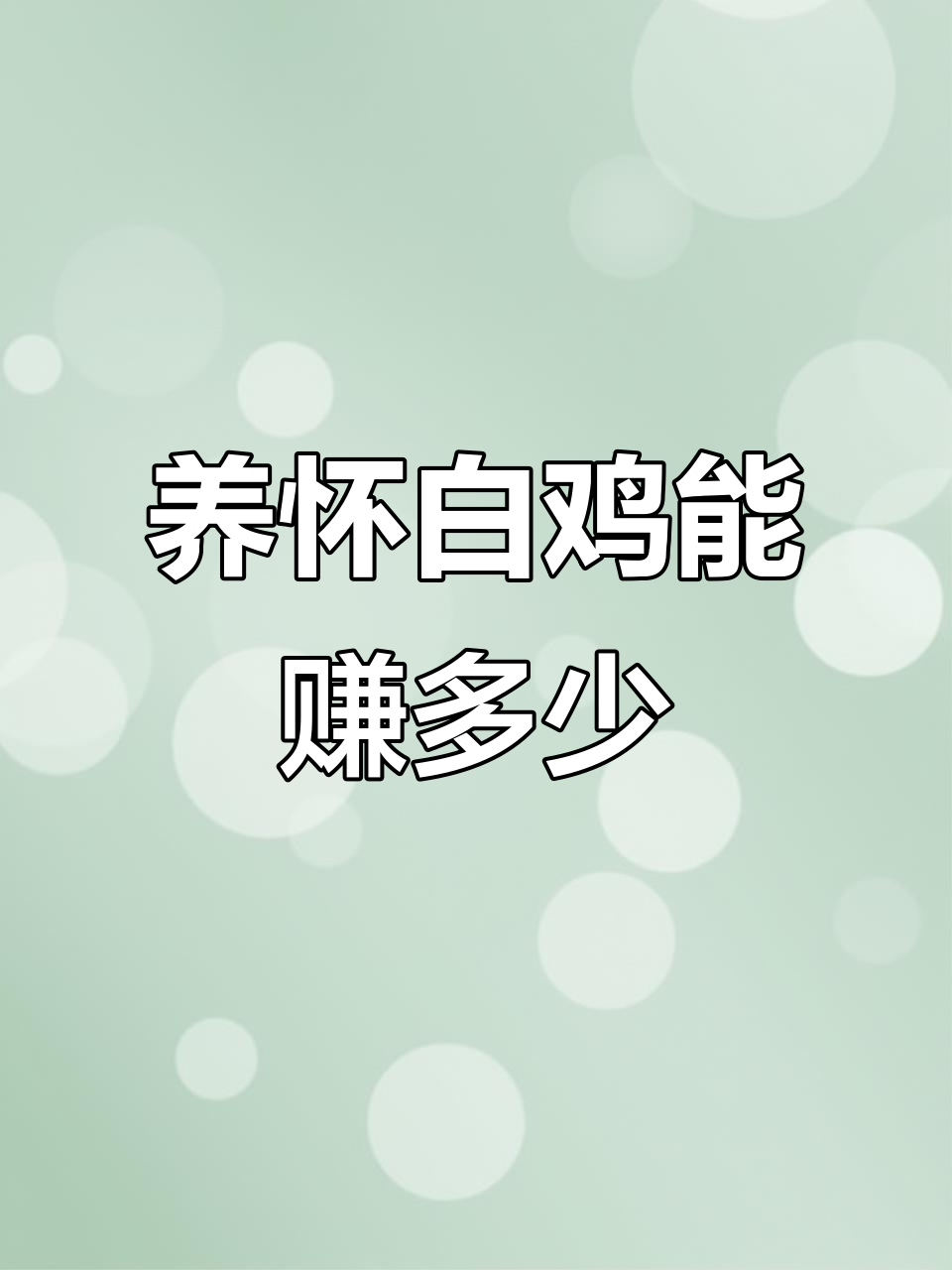 怀特鸡养殖初体验，六只观赏鸡能否带来年入十万？