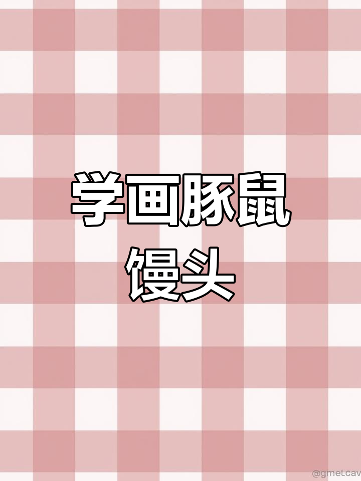 零基础学简笔画:豚鼠馒头画法教程