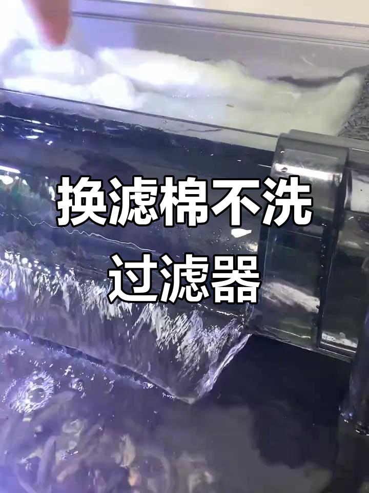 鱼缸过滤棉更换技巧,避免清洗过滤器