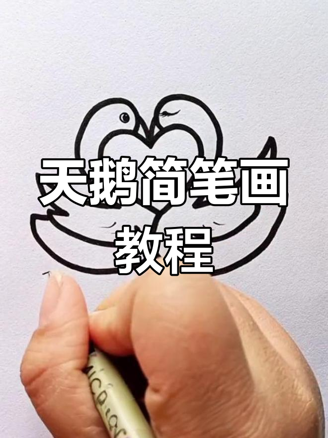 轻松学画可爱天鹅，步骤简单又有趣