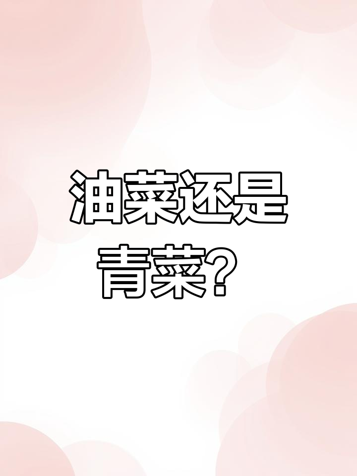 河北山东的油菜和南方青菜到底有啥区别?