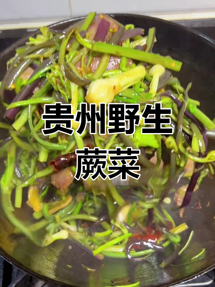 贵州野生蕨菜:乡间美味,自然健康