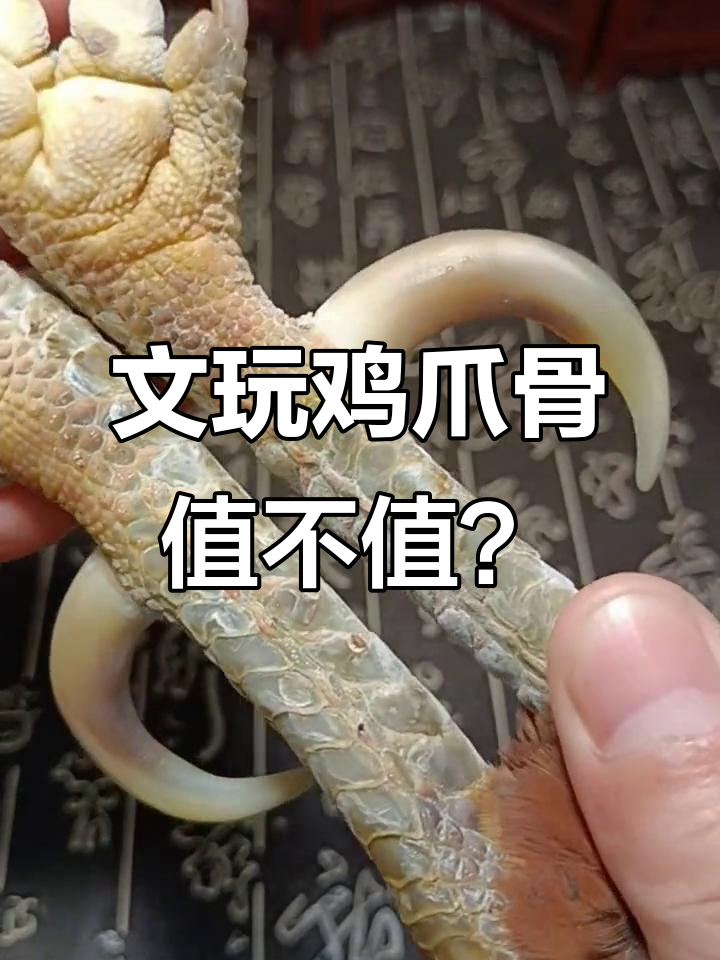 文玩鸡爪骨价格揭秘:造型与完整度决定价值