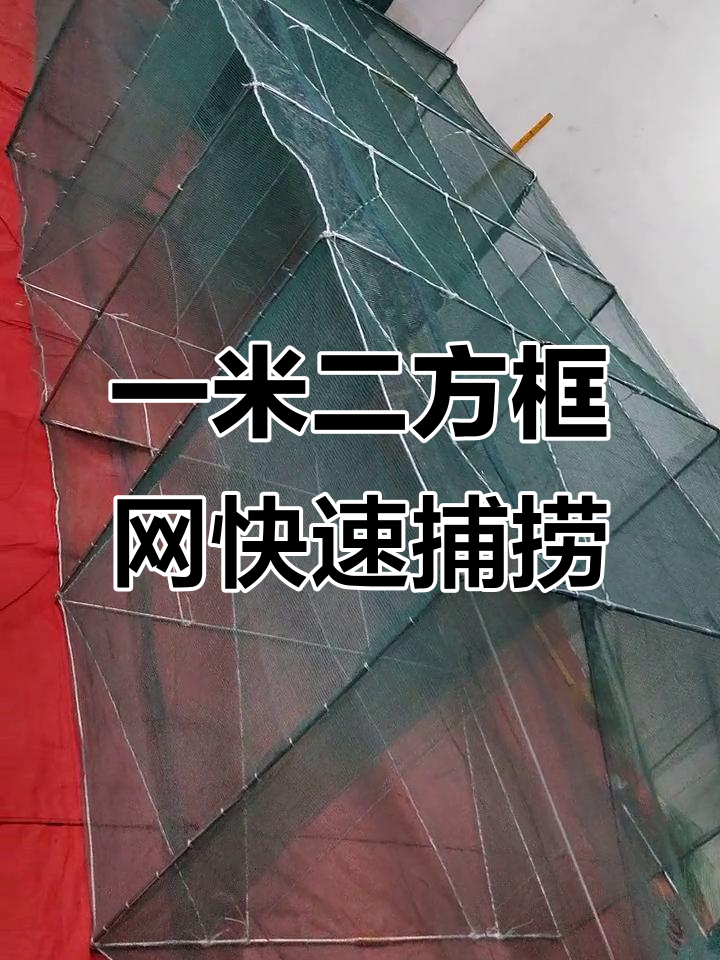 拦河迷魂阵网轻松捕鱼,顶水横栏一招搞定