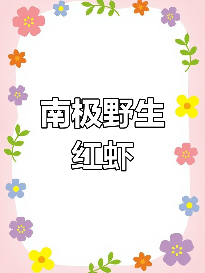 探秘南极冷水虾:阿根廷红虾的独特美味与营养