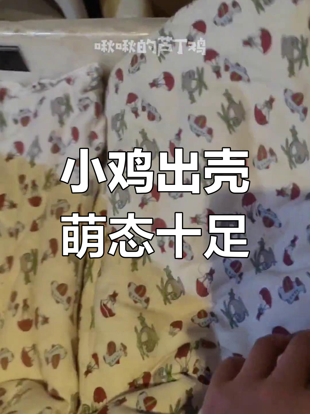 蛋壳破裂,小鸡破壳而出