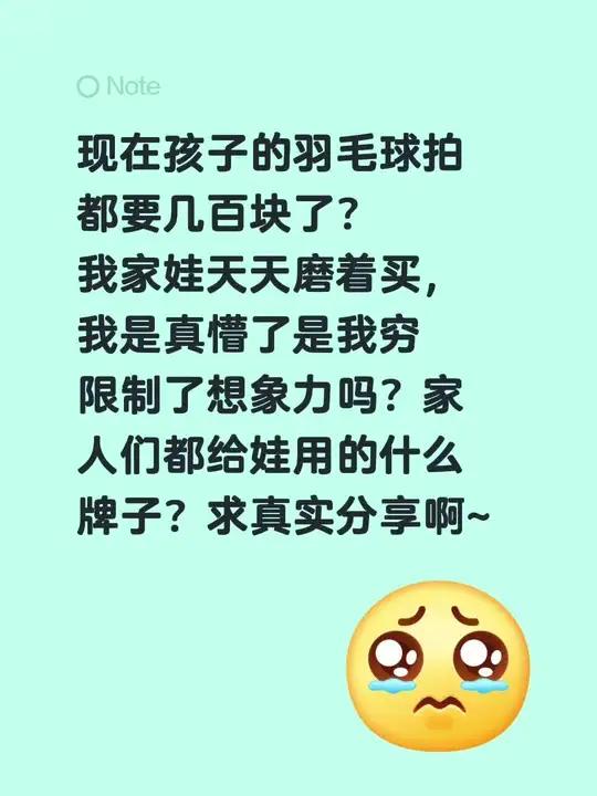 现在孩子的羽毛球拍都要几百块了？家人们都给娃用的 什么牌子？求真实分享啊~母龙牙和熏风羽毛