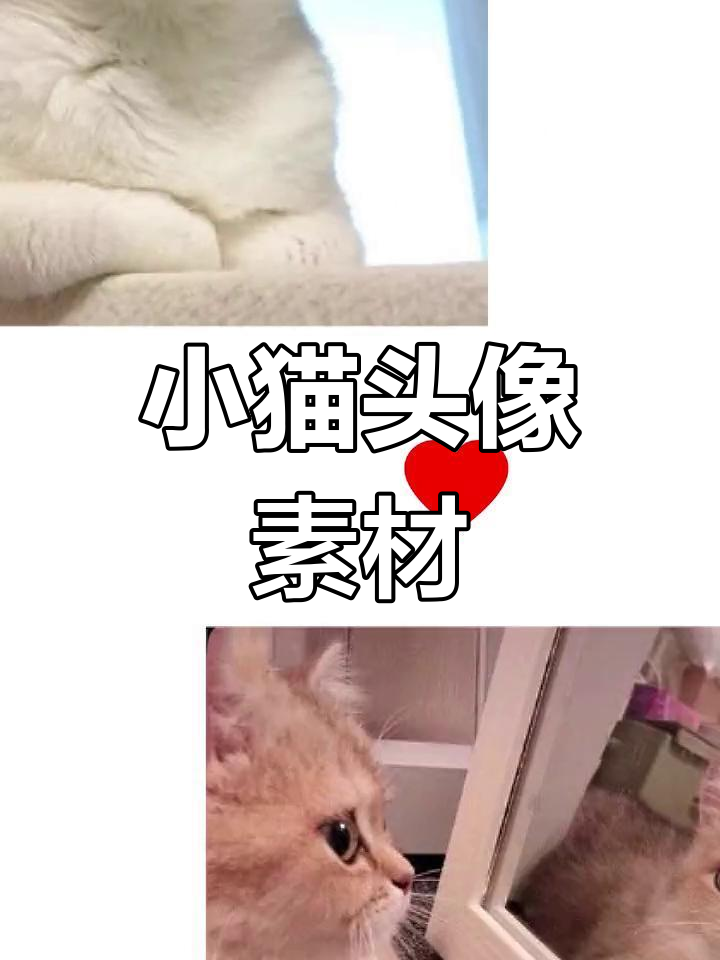 可爱小猫头像,女生必备