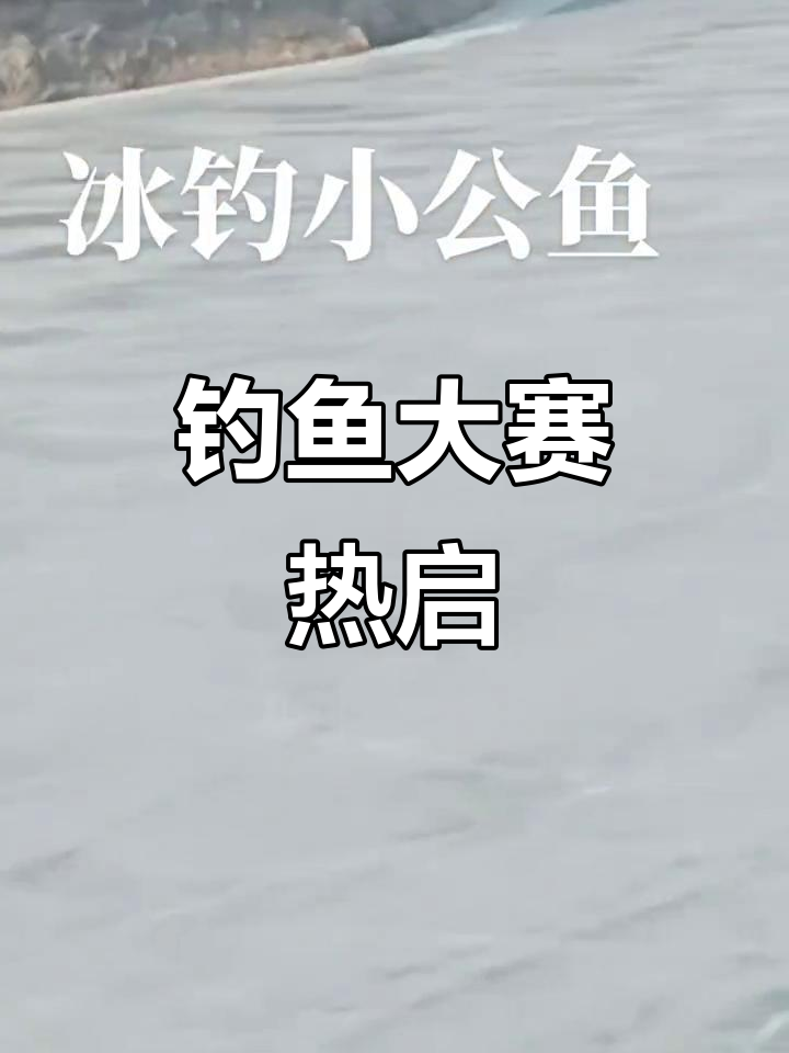 小公鱼连杆,钓底策略大显身手,西梗莲乡比赛火热开启!