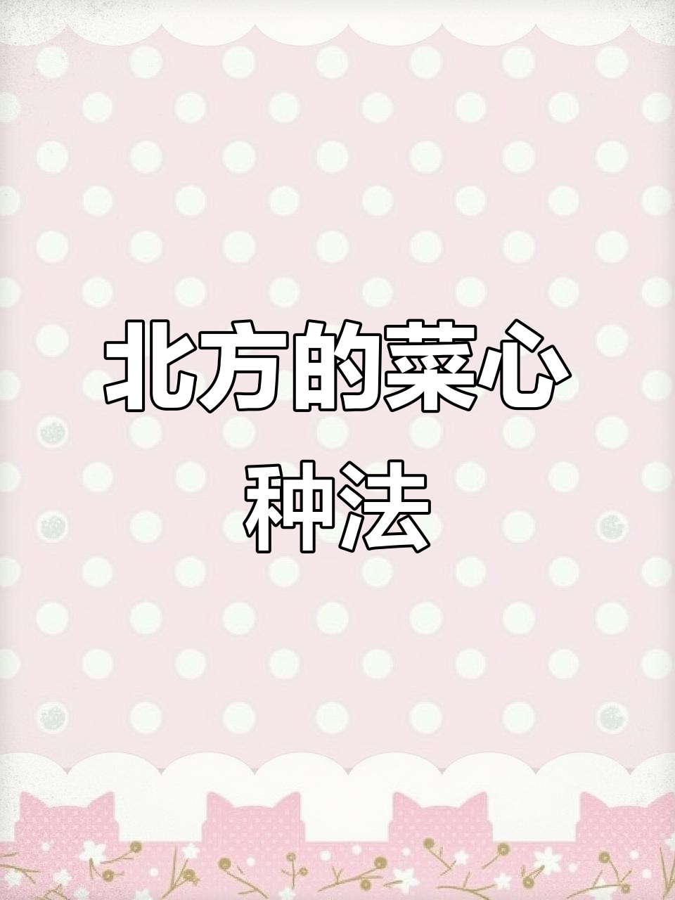菜心种植技巧大公开,北方也能轻松搞定!