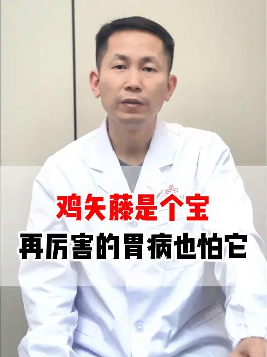 鸡矢藤是个宝,再厉害的胃病也怕它