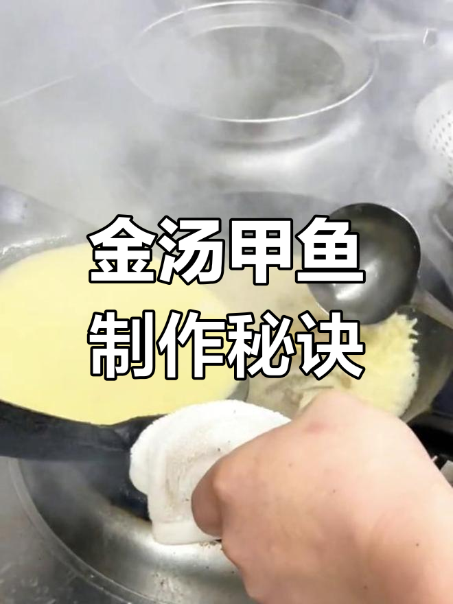郑州热销金汤甲鱼,家常做法大揭秘