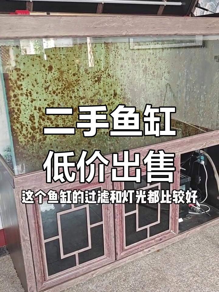 2米大鱼缸,设备齐全,便宜处理