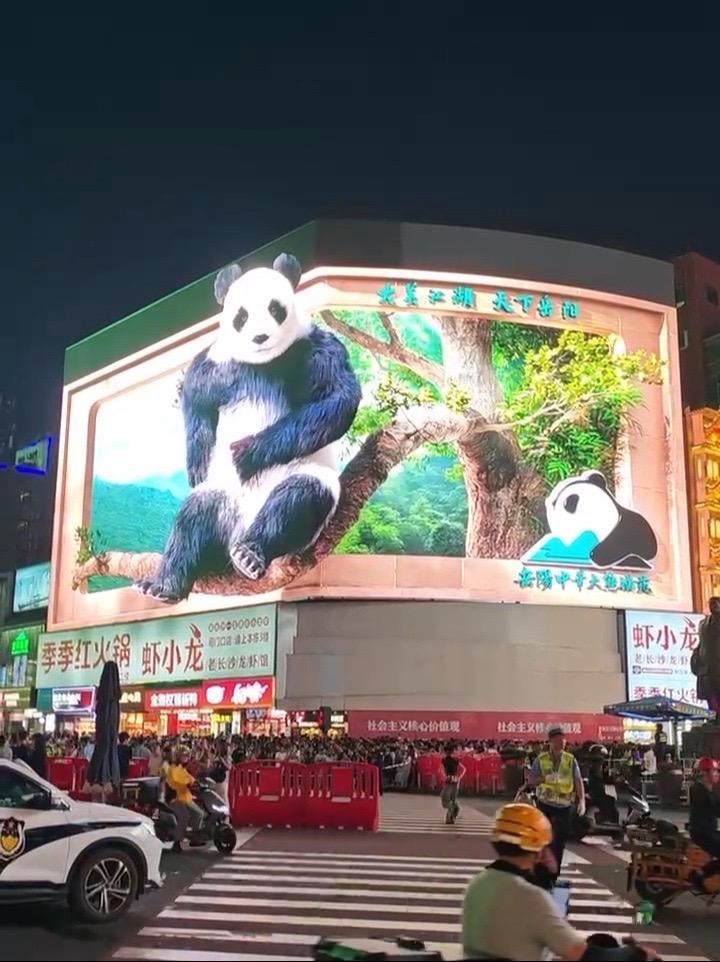 起猛了!岳阳的熊猫“占领”长沙了,长沙3D大屏又又又上新,顶流国宝向百万游客发出邀约(来源
