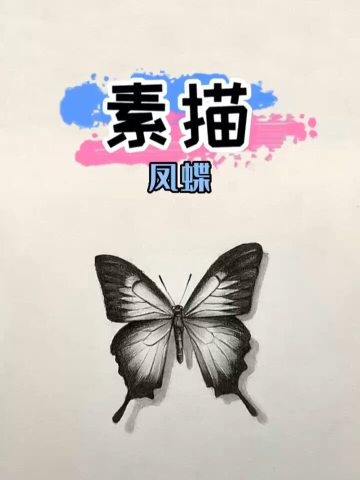 素描蝴蝶教程