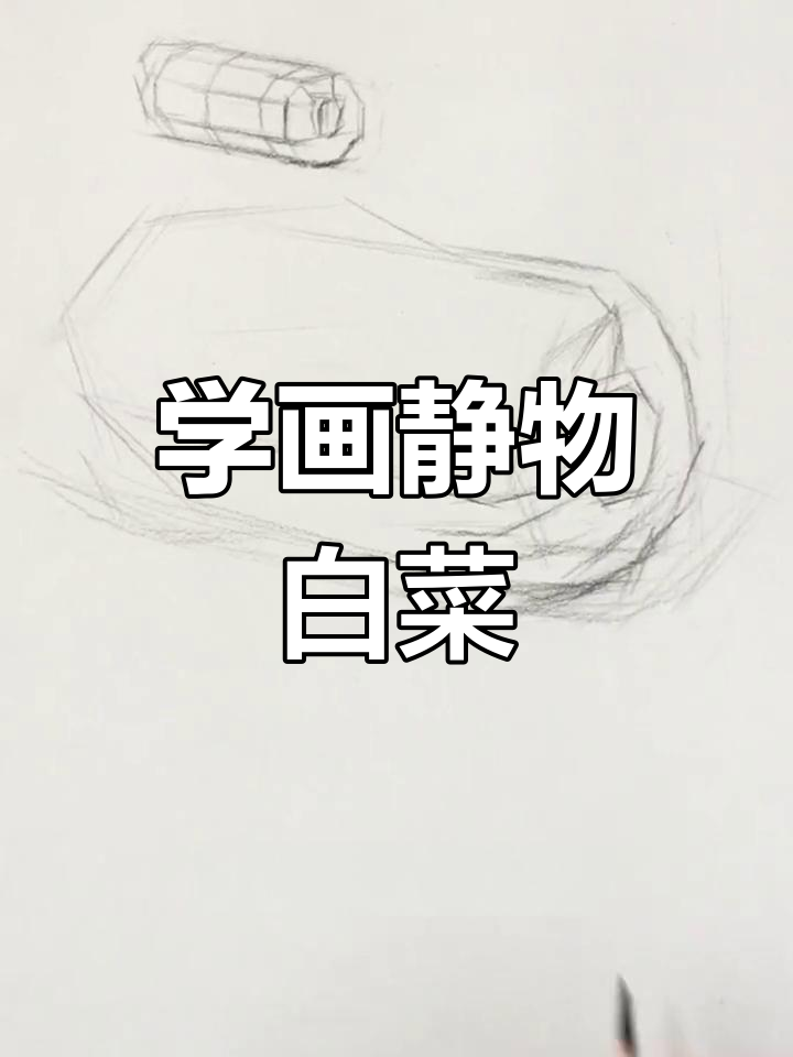 素描白菜画法解析