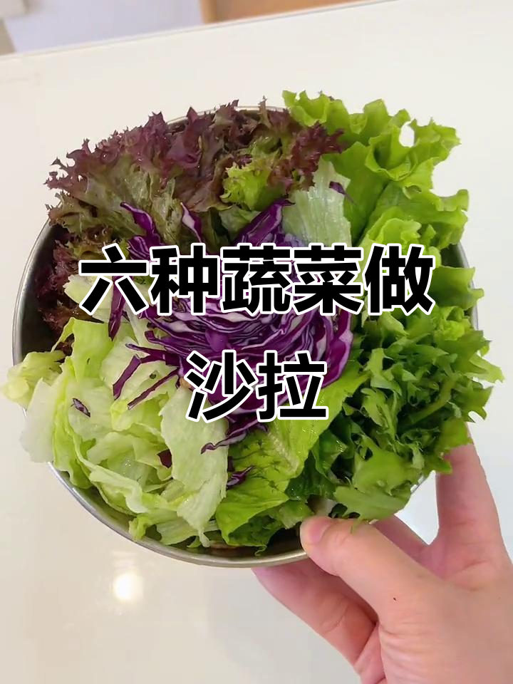 蔬菜沙拉必备!六种新鲜生菜,口感丰富又好看