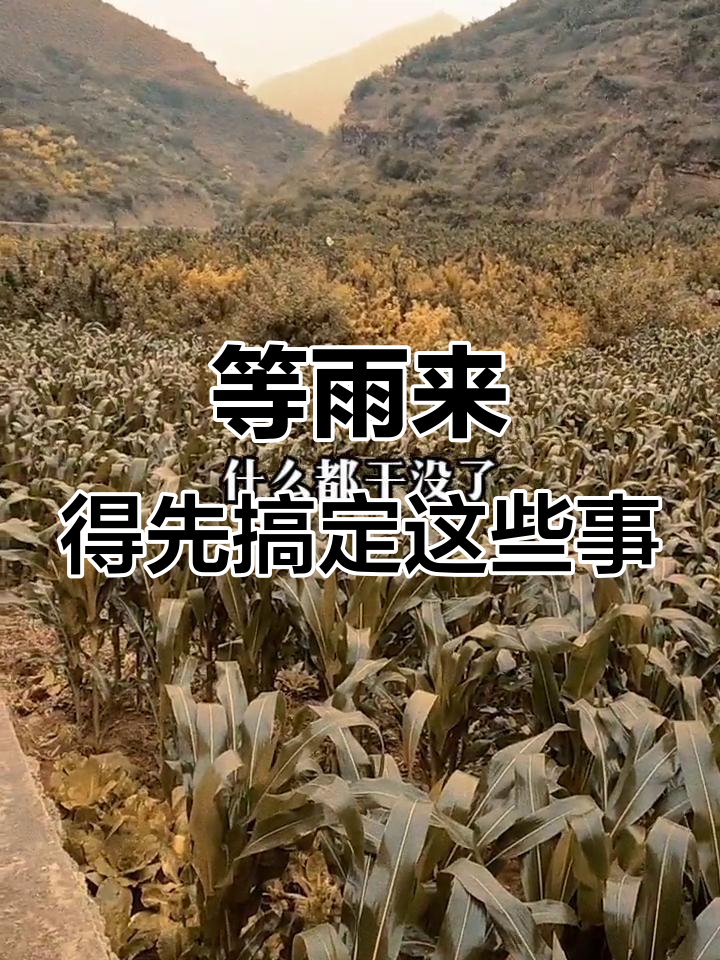 汉源何时能下雨?等鸡吃完米狗舔完面火才行