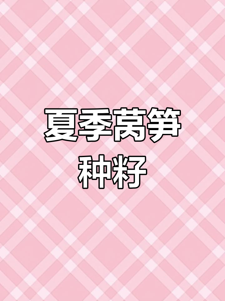 10月也能种,四季莴笋耐热种子,清香可口