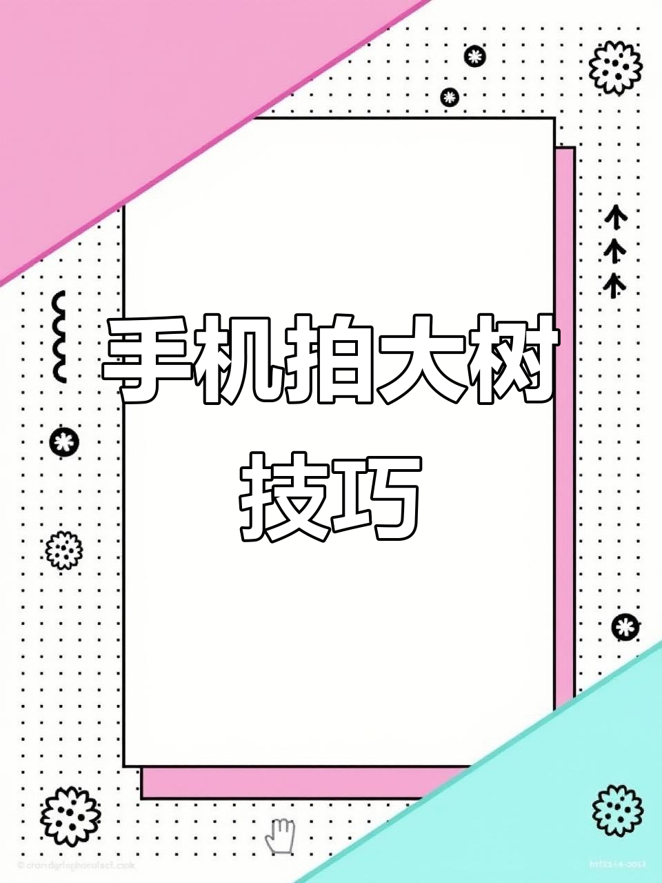 用手机拍摄震撼大树照片,简单两招搞定大片效果
