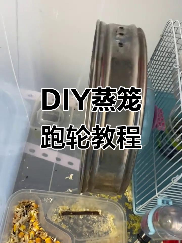 手工DIY蒸笼跑轮,简单又有趣!