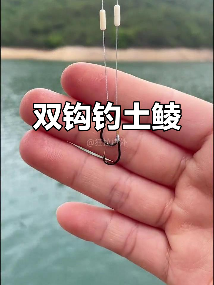土鲮鱼钓法揭秘:短子线双钩技巧大公开