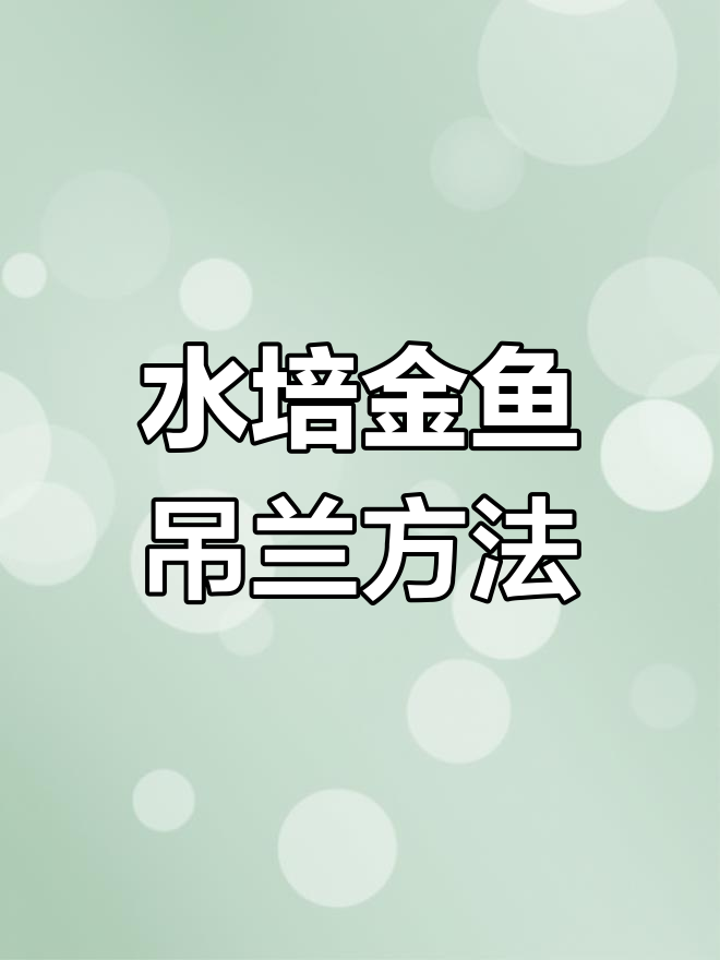 金鱼吊兰水培扦插技巧,春秋季最佳时机