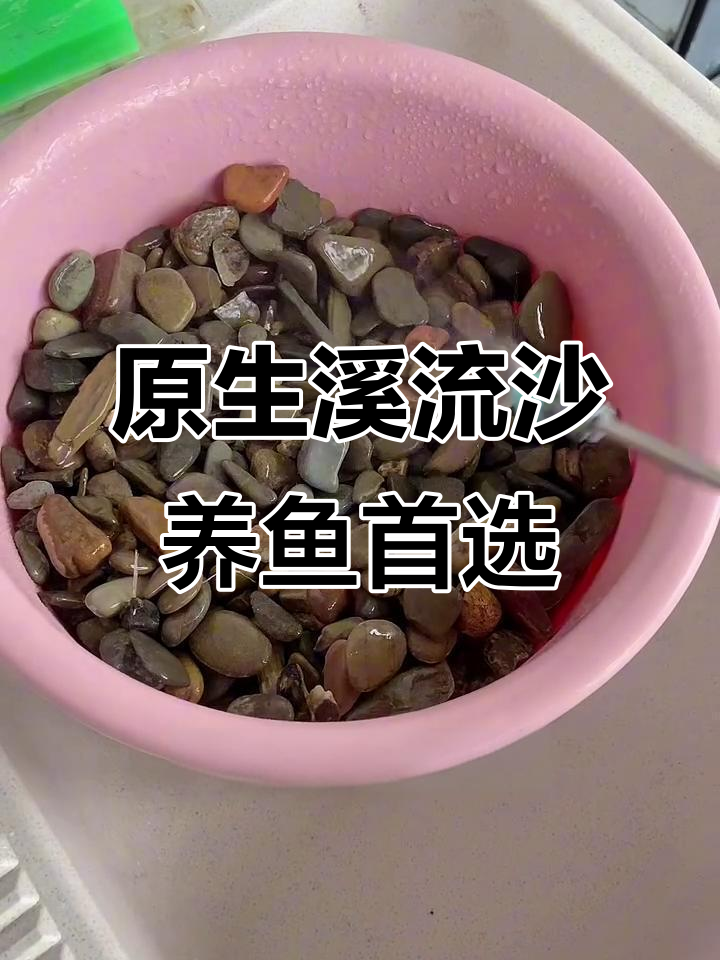 鱼缸造景必备!溪流砂让你的生态缸更自然