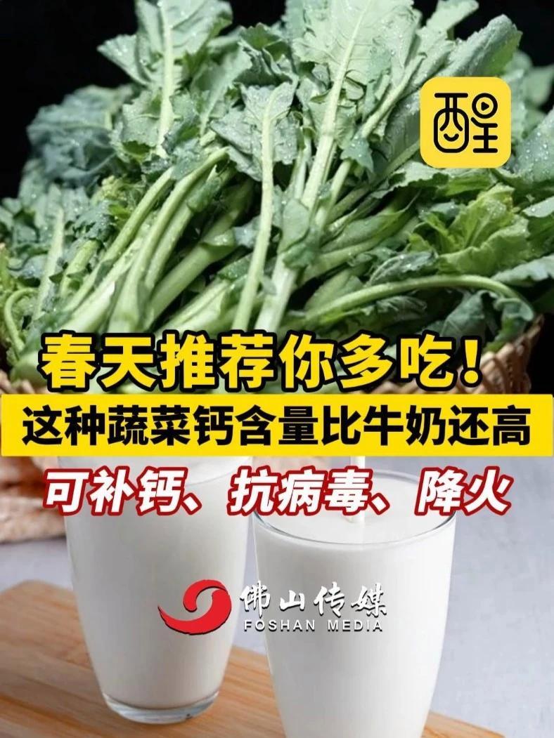 春天推荐你多吃!这种蔬菜钙含量比牛奶还高,可补钙、抗病毒、降火!(编辑:郭少媚;责编:周志