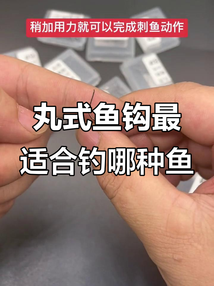 丸世鱼钩适合钓什么?黄刺、鲫鱼的绝佳选择