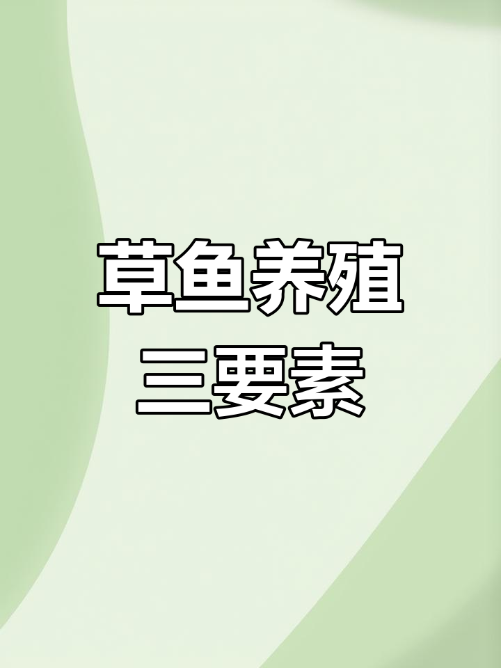 草鱼养殖必知三大要点
