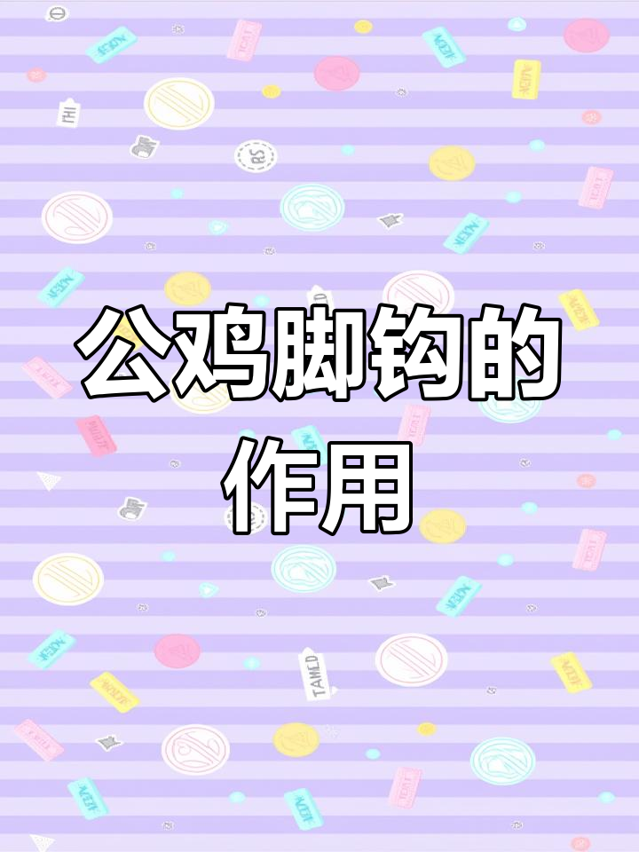 鸡爪文玩揭秘:公鸡脚钩的独特作用与生长位置