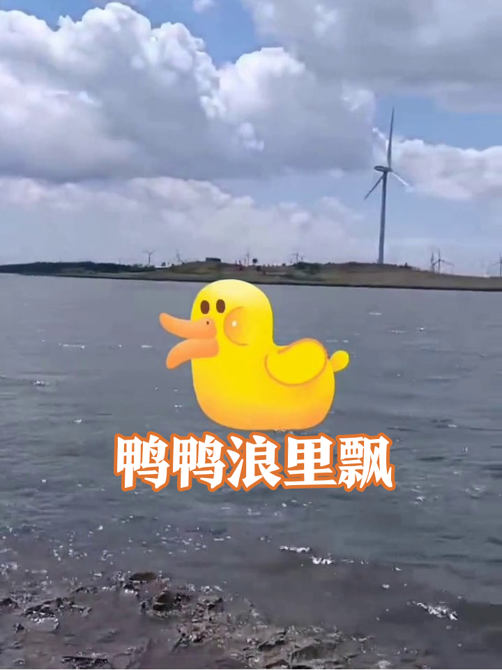 卡通鸭子湖面“度假”,跟风车比谁更会“浪”