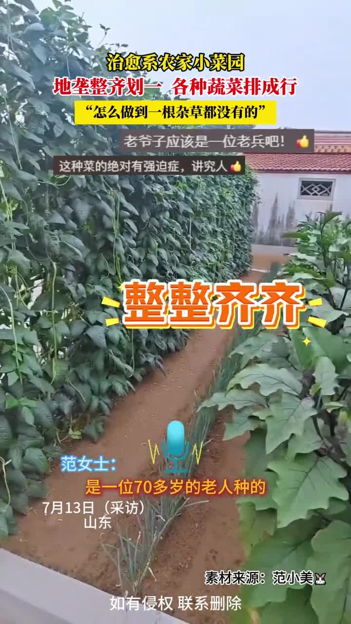 治愈系农家小菜园,地垄整齐划一,各种蔬菜排成行,“怎么做到一根杂草都没有的”